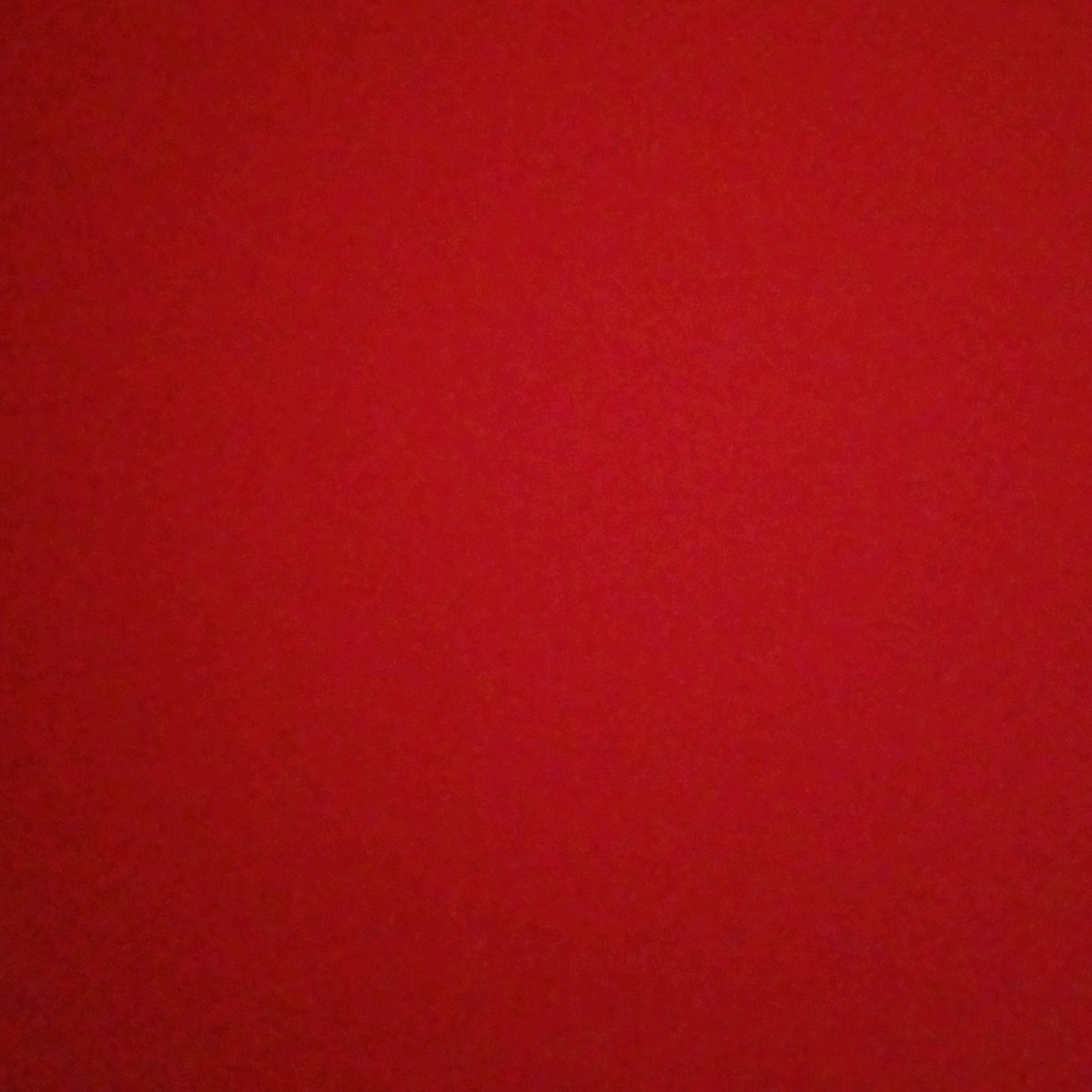 Meet your Posher, Kallie